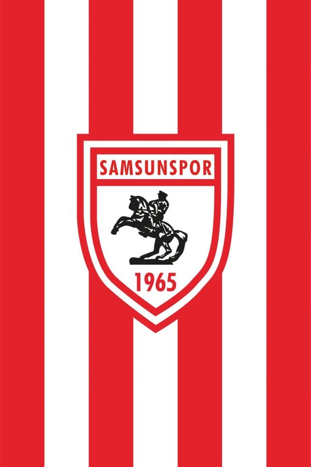 90*140 Asmalı Çubuklu Bayrak